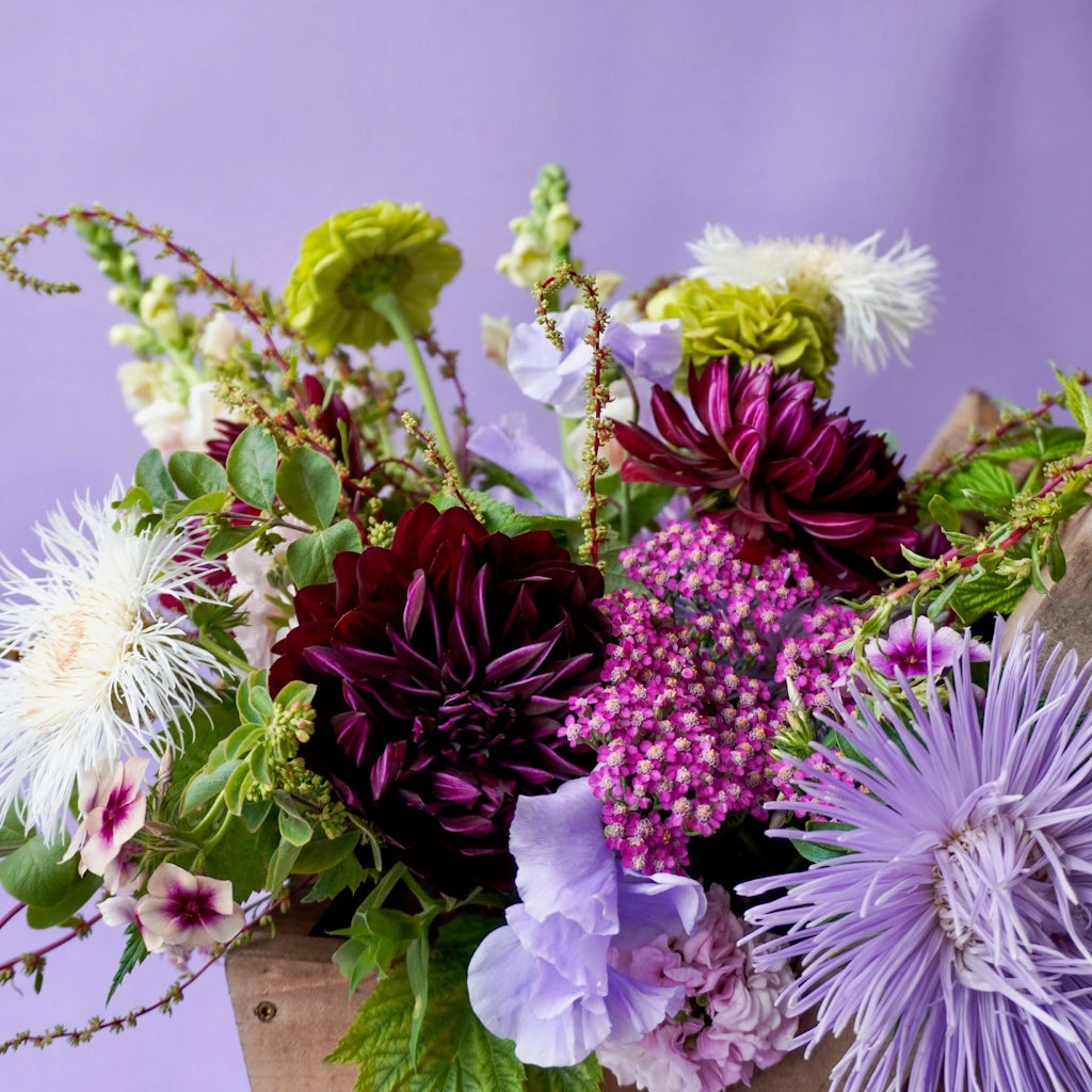 Bouquet of flowers with purple, green, and white colors against a purple background