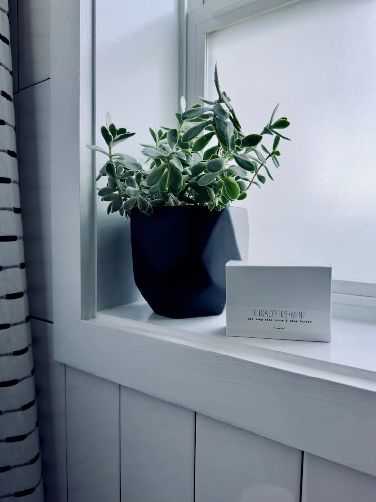 Eucalyptus and Mint soap.  Available from Campanula Design Studio, Seattle florist and gift basket company in the Magnolia neighborhood.