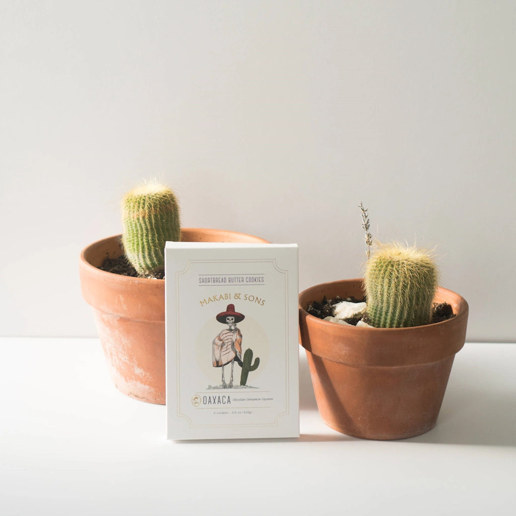 Two potted cacti with a box of chocolate cinnamon cayenne shortbread cookies from Karakuri & Sons on a white surface