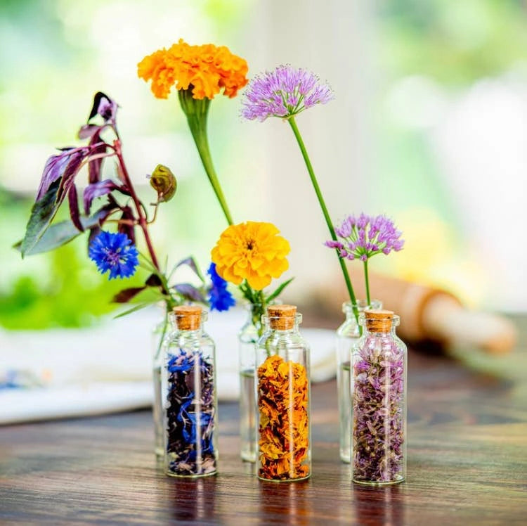 flower seeds as gifts Edible Flower Seeds | Flouwer Co