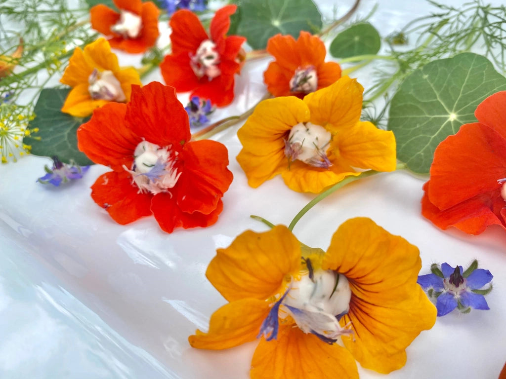 flower with edible seeds Edible Flower Seeds | Flouwer Co