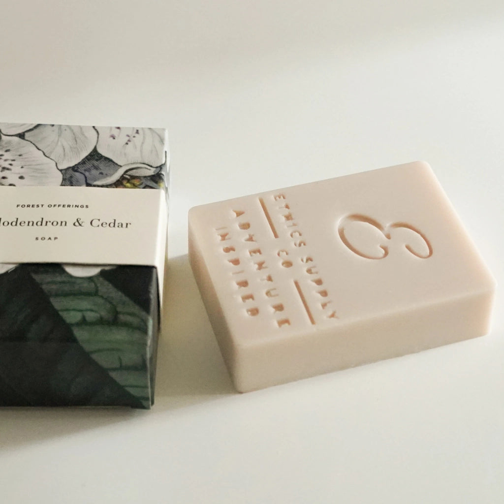 Bar of soap and its packaging on a white background