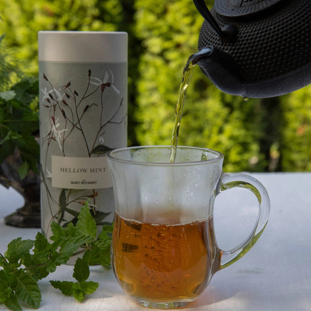 Mellow Mint Tea Gift Set | Quiet Botanist | Seattle Gift Basket