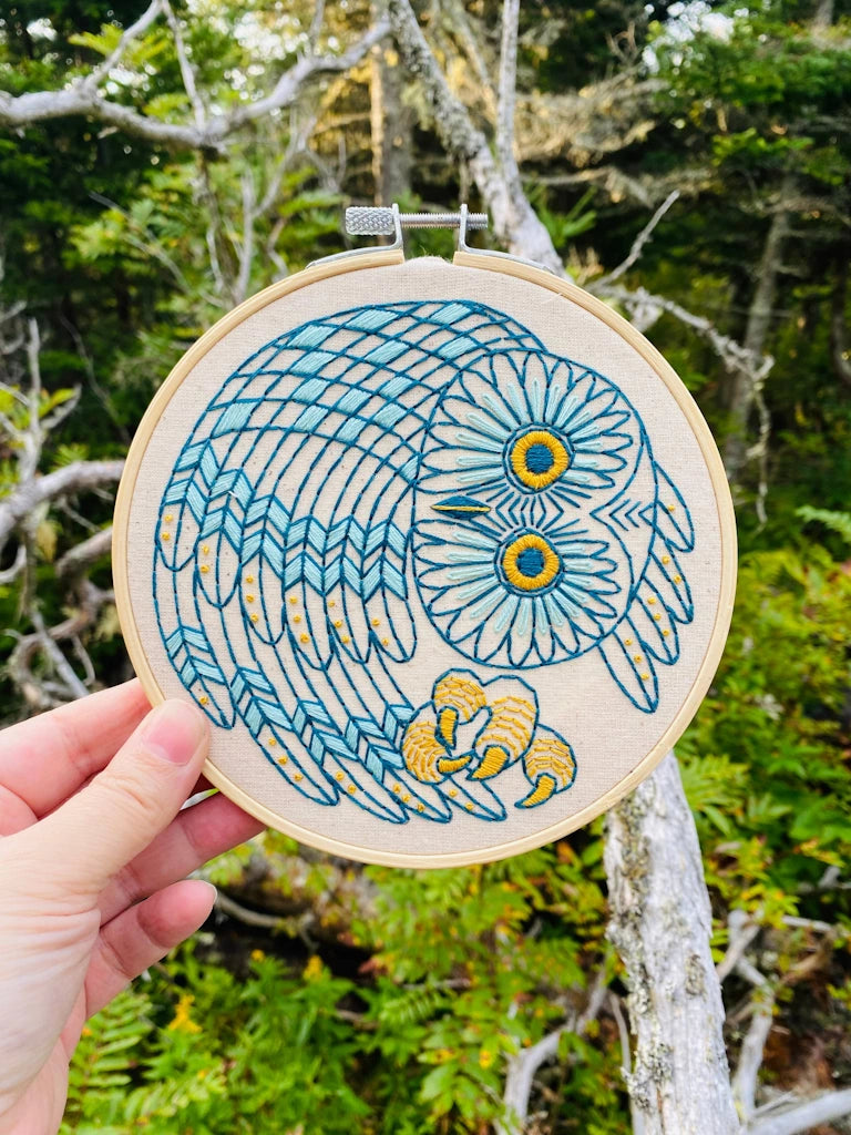 Embroidery hoop with a blue and yellow owl design held against a natural background.