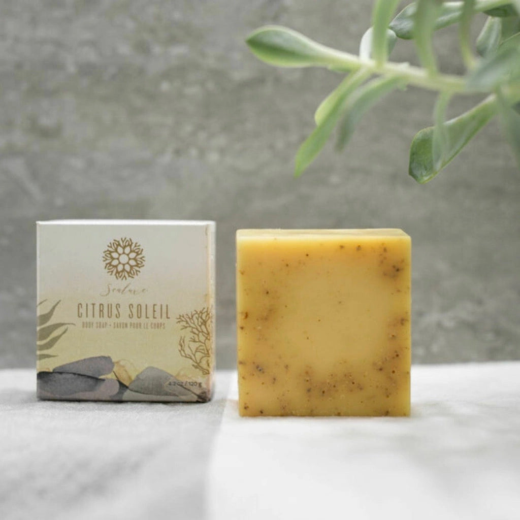 Sealuxe Citrus Soleil is a refreshing soap made with shea nut butter soap base, blended with four different essential oils and colored with tumeric. This soap bar is a great way to start your day. Pick up at our Magnolia shop or have it delivered to the greater seattle area paired with a floral arrangement from Campanula Design Studios.