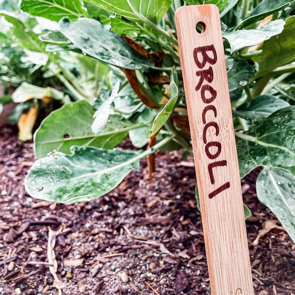 seed labels garden Wooden Plant Identification Labels Bamboo and Eco-friendly